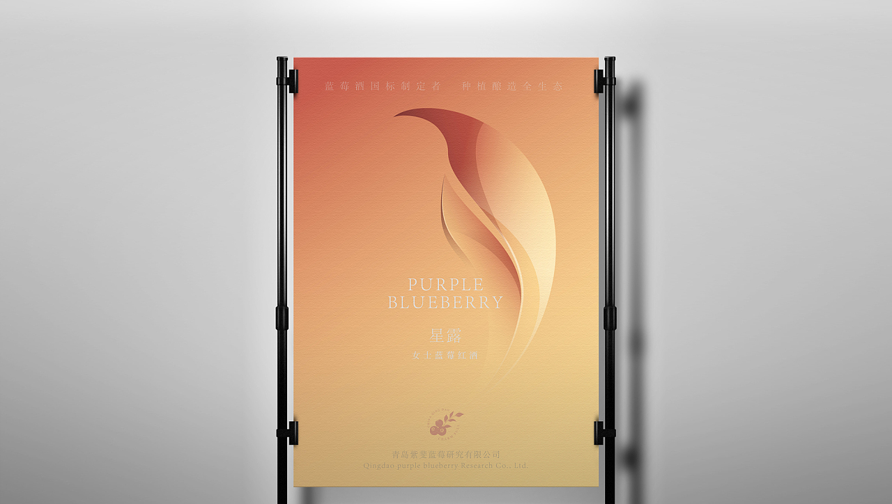 藍(lán)莓酒品牌形象、包裝設(shè)計