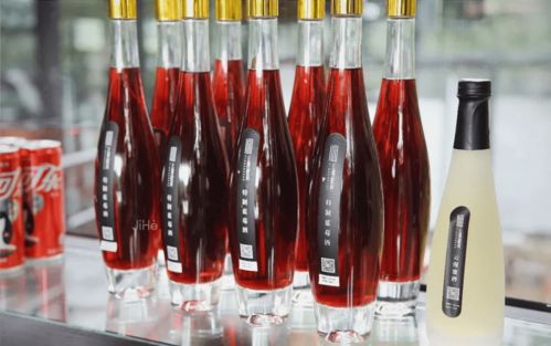 夯土老房改造的15間星空房民宿