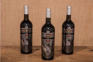 天使藍(lán)莓,在歲月里沉淀愛意