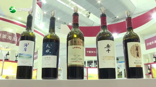 宜賓人,這個地方一定要去,美女加美酒好熱鬧 視頻 玉鑫