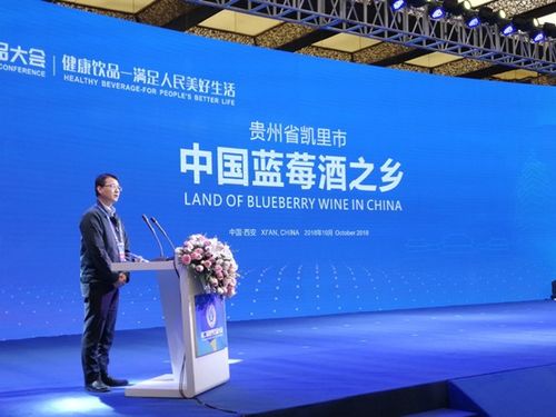 第2屆世界飲品大會(huì)閉幕 中國(guó)藍(lán)莓酒之鄉(xiāng) 中國(guó)柿酒之鄉(xiāng) 授牌
