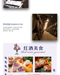 蘇子富春 藍(lán)莓酒女士低度紅酒男士半甜型果酒東北特產(chǎn)小粒藍(lán)莓果酒非葡萄酒500ml