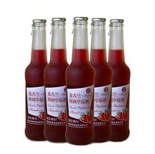 青島瑪麗龍舌蘭與藍莓酒 批發價格、廠家及市場概況